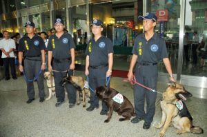 璀璨煙火照夜空 2009高雄世運會正式開幕2009.7