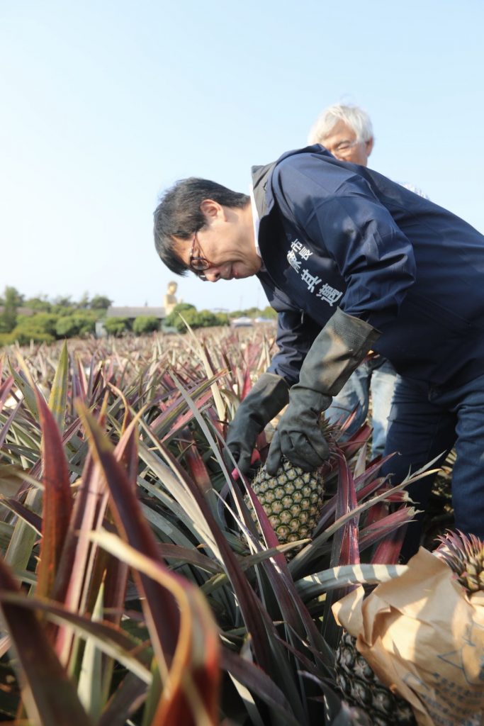 再見中博、高雄更好 陳其邁宣布中博高架走入歷史