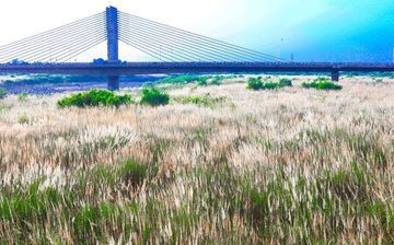 環保署垃圾焚化廠查核評鑑 高雄市獲特優連霸